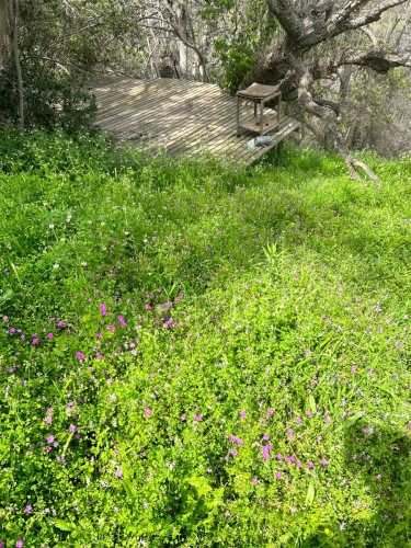 PARCELA Parcela en Quebrada Escobares