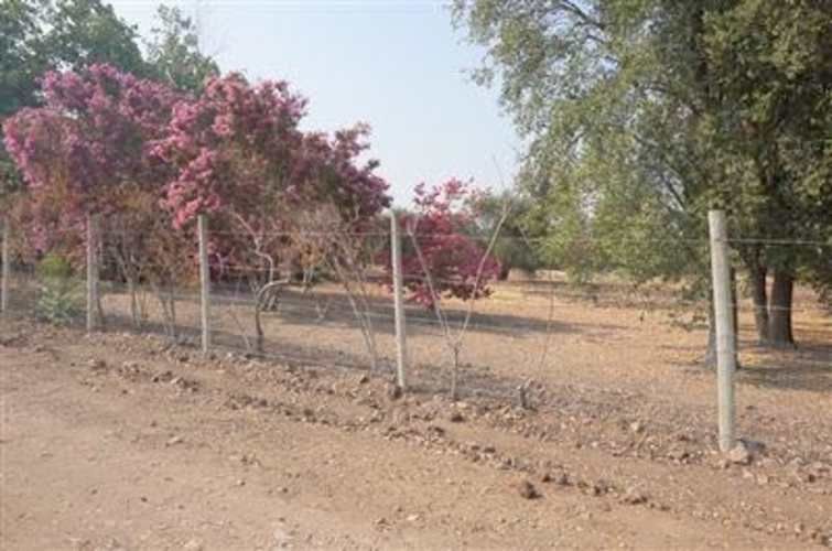 SITIO Camino Polpaico / El Tranque