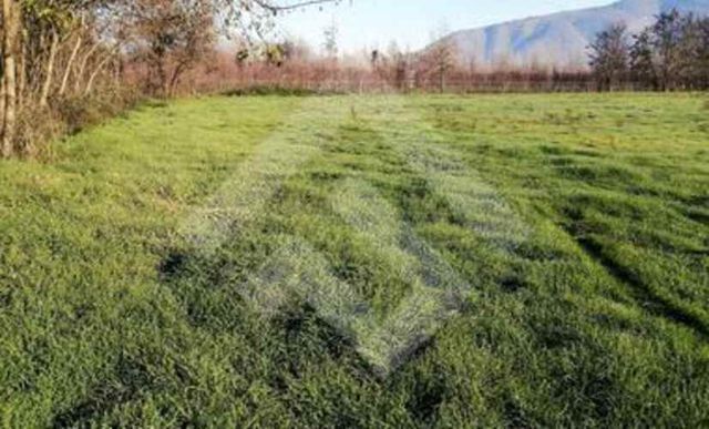 SITIO PLL_Altos de Cantillana, Aculeo