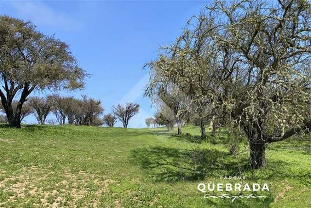 TERRENO CONSTRUCCION PLL_Camino Catapilco