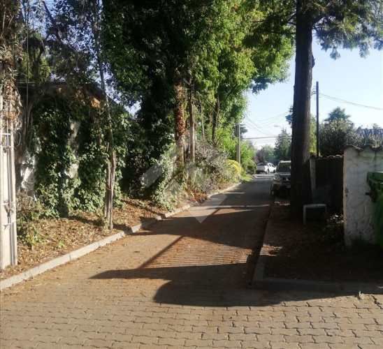 LOCAL COMERCIAL Carlos Ossandon / Principe de Gales