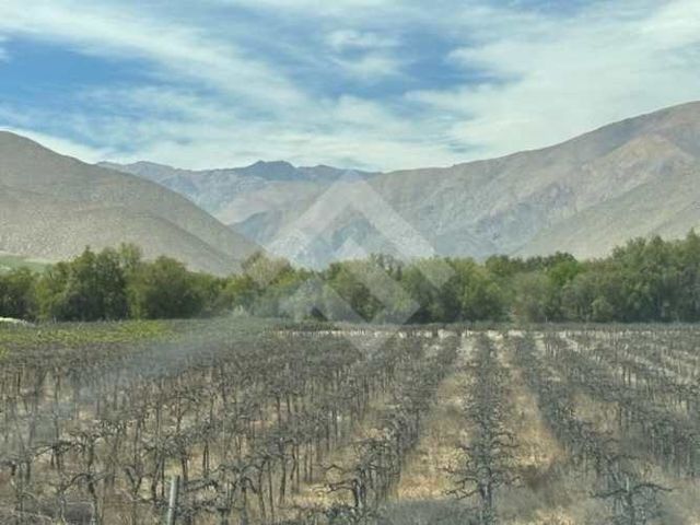 SITIO Encanto de Elqui