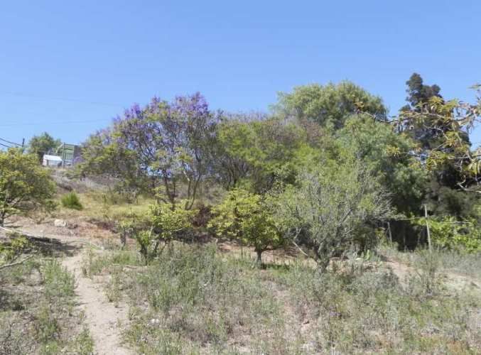 PARCELA Quebrada de Talca