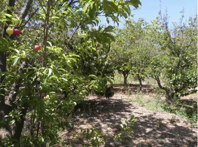 PARCELA Quebrada de Talca