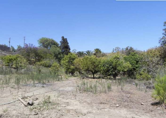 PARCELA Quebrada de Talca