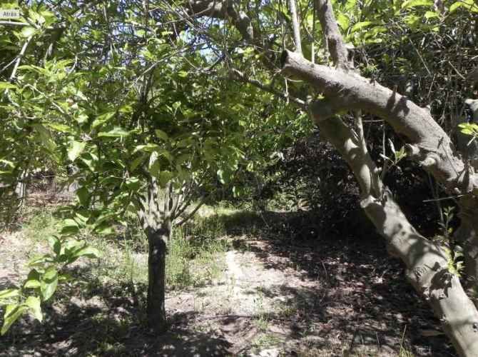 PARCELA Quebrada de Talca