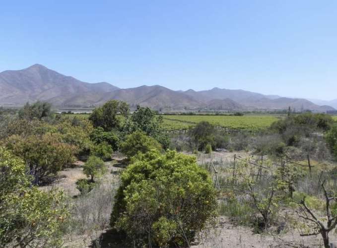 PARCELA Quebrada de Talca