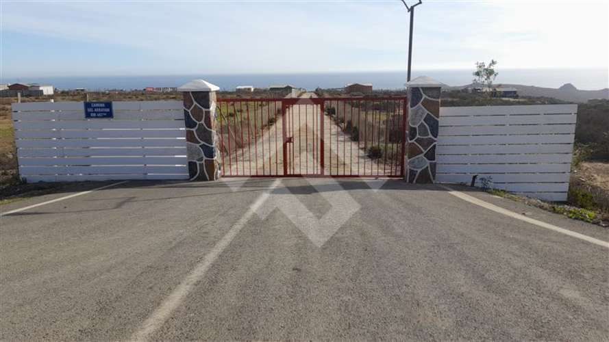 PARCELA El Arrayan Costero