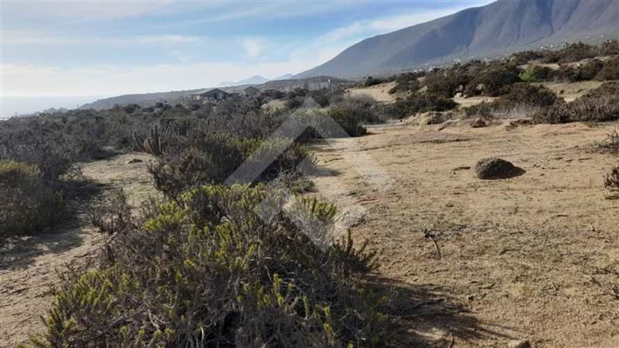 PARCELA El Arrayan Costero