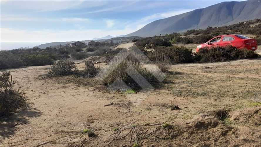 PARCELA El Arrayan Costero