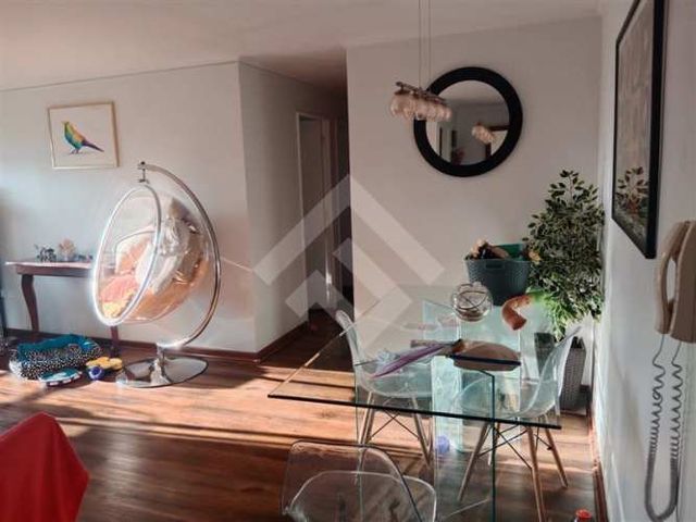 DEPARTAMENTO Loreto, Santa Filomena