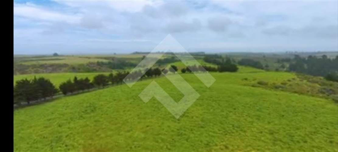 AGRICOLA Santo Domingo