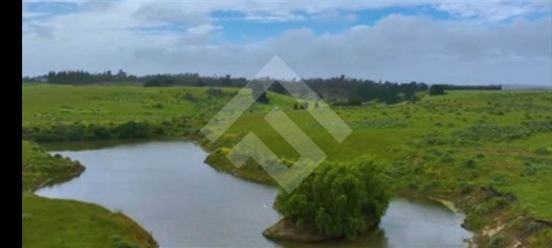 AGRICOLA Santo Domingo