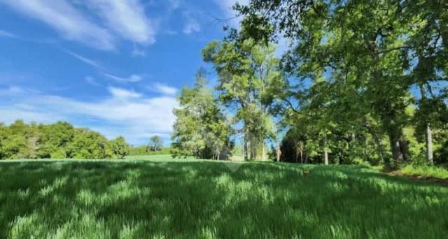 TERRENO CONSTRUCCION Choroico, Tronlico