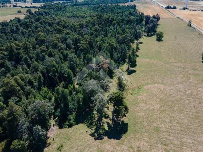 PARCELA 3 KM DE LONCOTORO