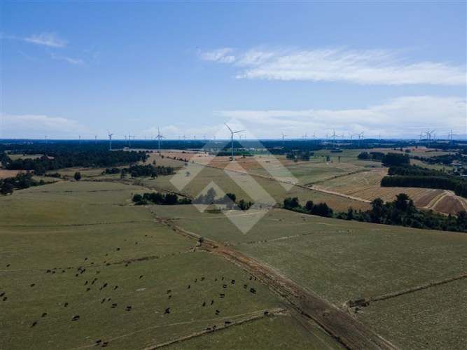 PARCELA 3 KM DE LONCOTORO