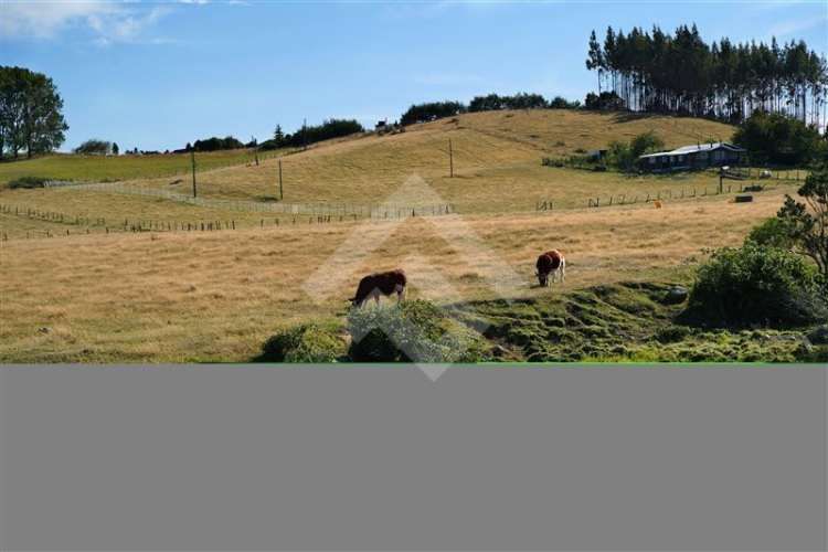 PARCELA 3 KM DE LONCOTORO