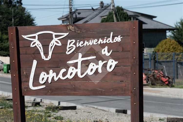 PARCELA 3 KM DE LONCOTORO