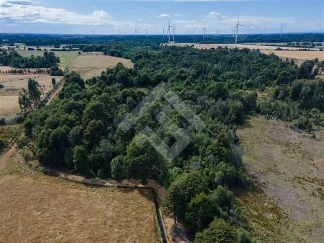 PARCELA 3 KM DE LONCOTORO