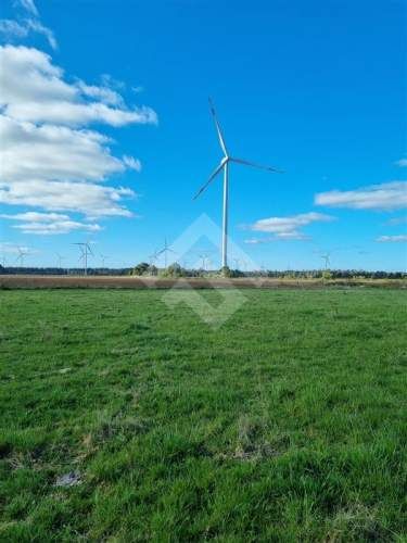 PARCELA a 3 km de loncotoro