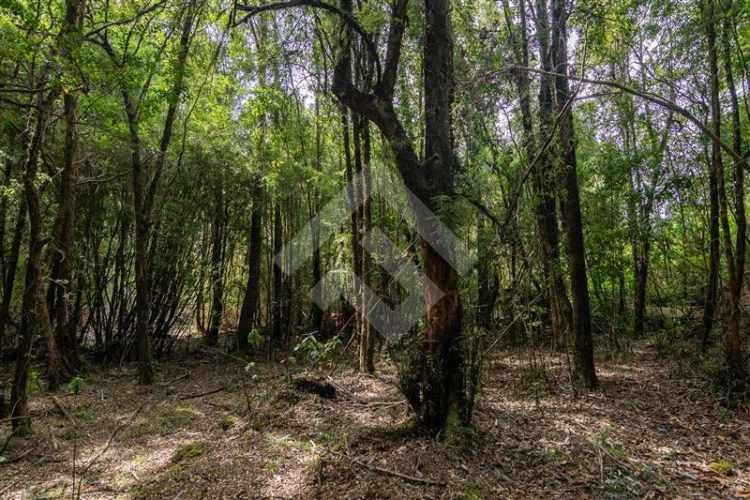 PARCELA A 3 KM DE LONCOTORO