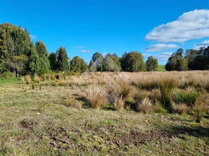 PARCELA A 3 KM DE LONCOTORO