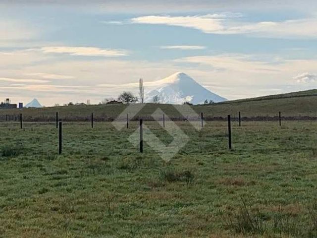PARCELA Ruta V30 km2,1 camino a Fresia llanquihue