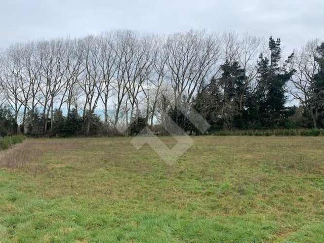 PARCELA RUTA V20 HACIA TEGUALDA