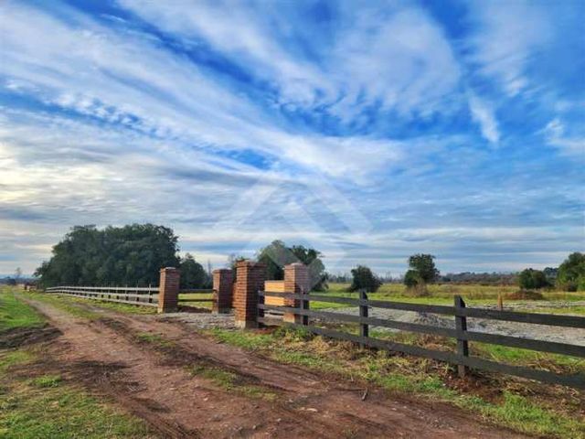PARCELA RANCO NATIVO LA UNION