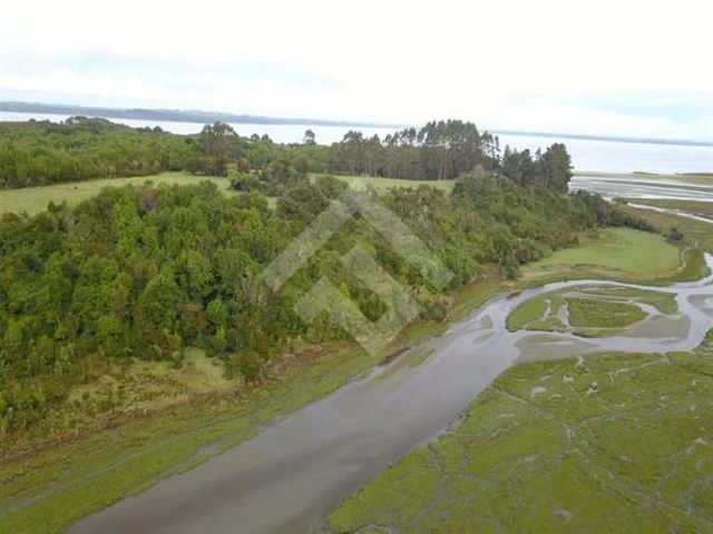 SITIO pargua ruta V-972