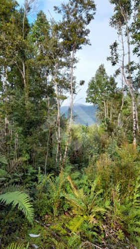 PARCELA Parcelacion Altos de Lenca