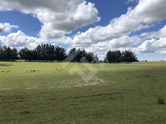 SITIO Hijuela N° 4, Lote 1 comuna de Purranque