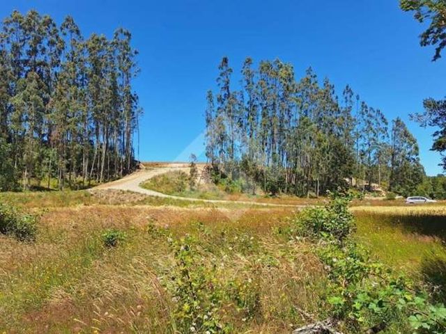 PARCELA Rio sin Nombre