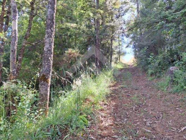 PARCELA Camino Subiabre