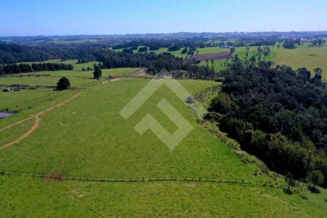 PARCELA Ruta v 500 Nueva Braunau sector Los Maitenes