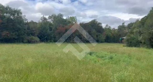 PARCELA camino v60 Los Muermos