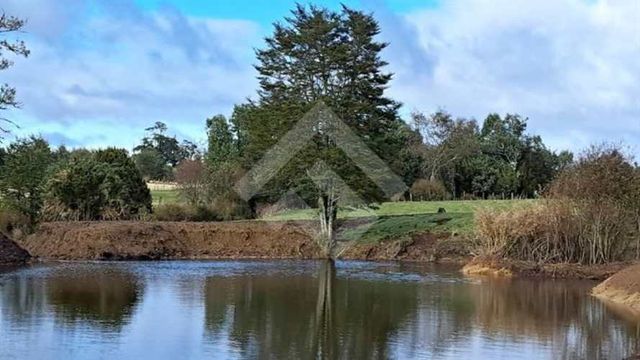 PARCELA Sector rural de Coquiao, Ancud