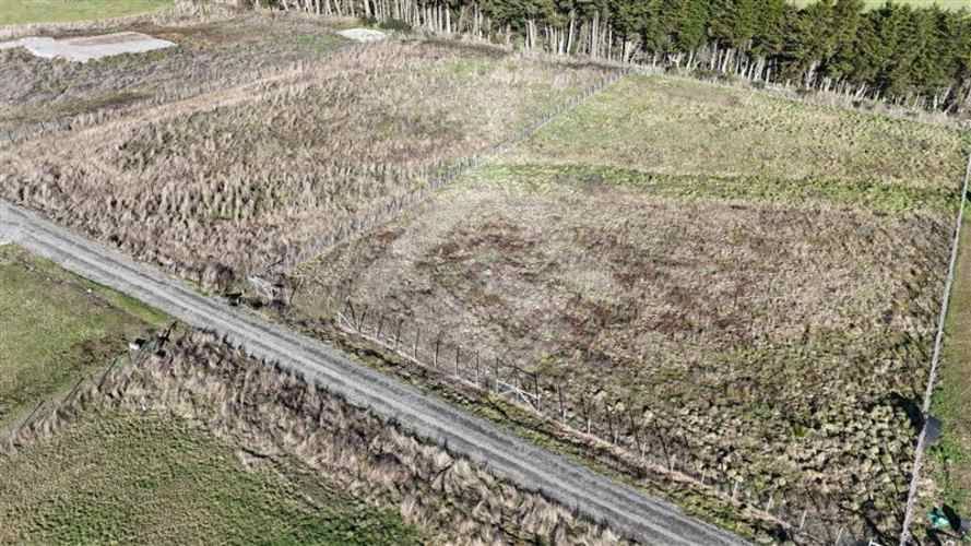 PARCELA Colegual,, comuna de Llanquihue