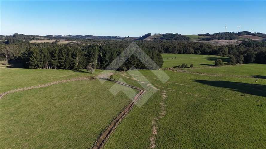 PARCELA Colegual,, comuna de Llanquihue