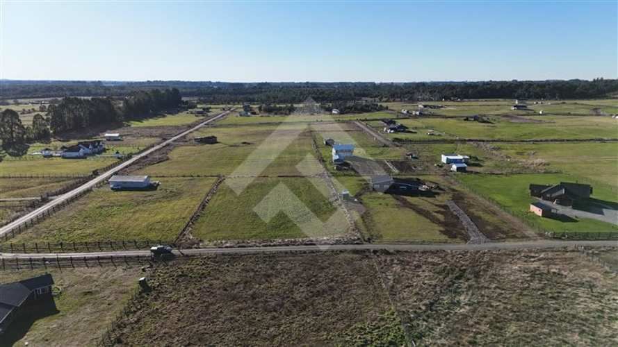 PARCELA Colegual,, comuna de Llanquihue