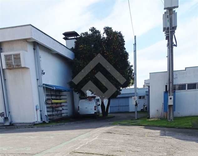 LOCAL COMERCIAL Colo Colo