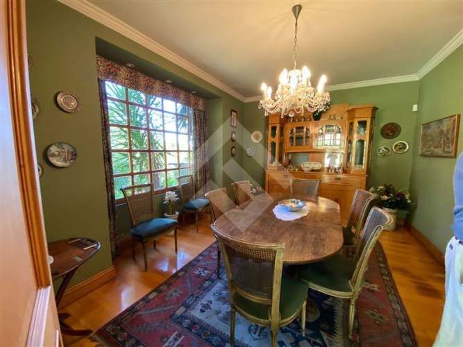 CASA Julia Bernstein