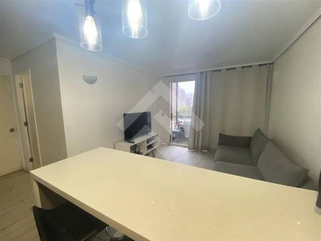 DEPARTAMENTO Santa Isabel/ Tocornal