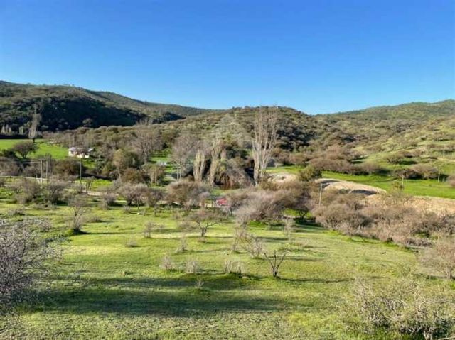 AGRICOLA Sector los Maitenes