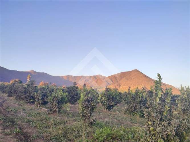 PARCELA Chiñigue Las Rosas