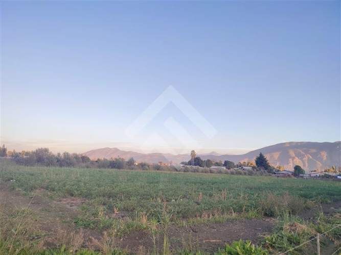 PARCELA Chiñigue Las Rosas