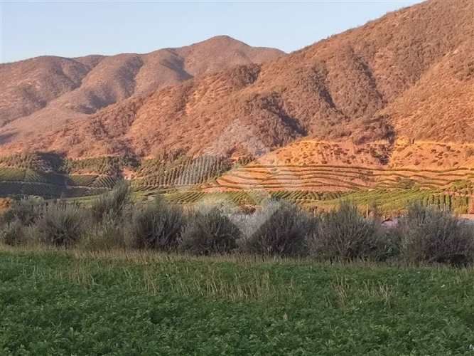 PARCELA Chiñigue Las Rosas