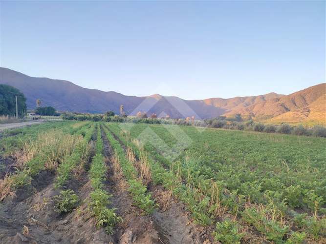 PARCELA Chiñigue Las Rosas