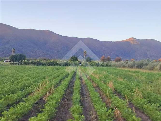 PARCELA Chiñigue Las Rosas