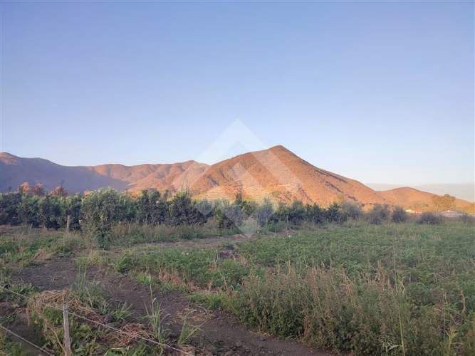 PARCELA Chiñigue Las Rosas